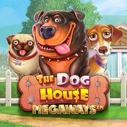 The Dog House Megaways gra w Nomini Casino dla graczy z Polski The Dog House Megaways gra w Nomini Casino dla graczy z Polski