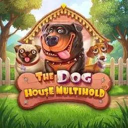 The Dog House Multihold gra w Nomini Casino dla graczy z Polski The Dog House Multihold gra w Nomini Casino dla graczy z Polski